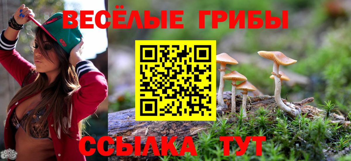 Псилоцибиновые грибы прущие грибы Долгопрудный